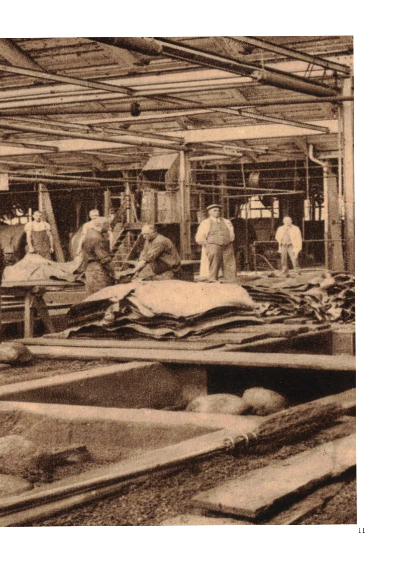 Historische Aufnahme von Arbeitsbereichen der Lederverarbeitung bei Krafft